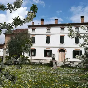 Loghino Sabbioni , Suzzara Italia